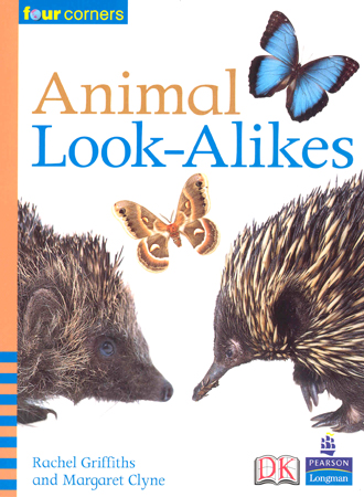 Four Corners Fluent Animal Look-Alikes