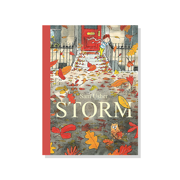 STORM (Paperback) 대표이미지